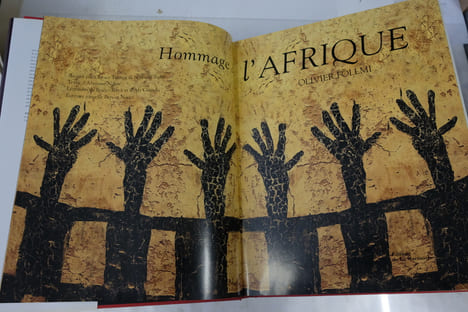 Hommage à l'Afrique. Olivier Föllmi