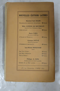 Mein Kampf / Mon combat