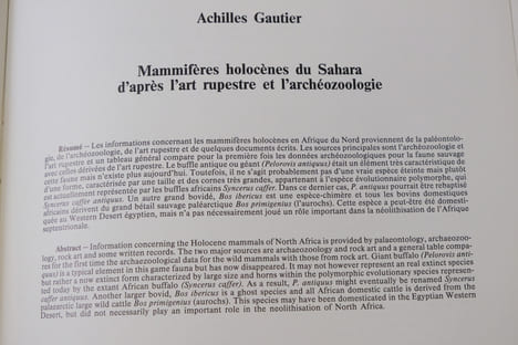 L'arte e l'ambiente del Sahara preistorico: dati e interpretazioni - Volume XXVI - Fascicolo II. Giulio Calegari