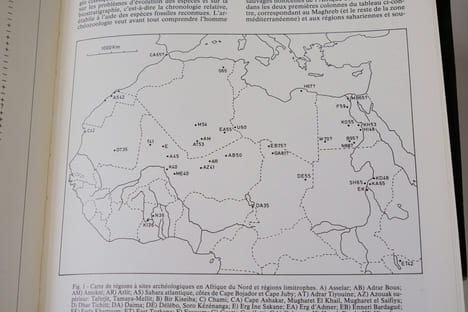 L'arte e l'ambiente del Sahara preistorico: dati e interpretazioni - Volume XXVI - Fascicolo II. Giulio Calegari