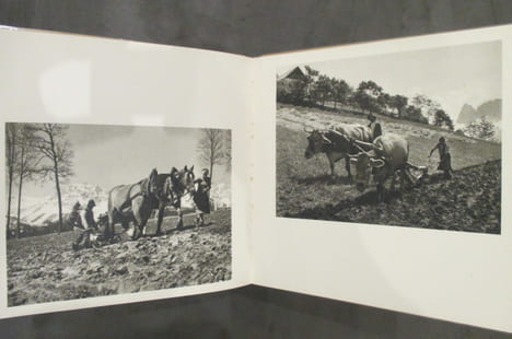 DIE EINHEIT TIROLS - Ein vergleichendes Bildwerk über die geographische und historische Einheit Nord- und Südtirols . Angerer, Wilhelm & Sturmmair, ...