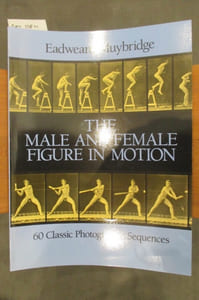 THE MALE AND FEMALE FIGURE IN MOTION