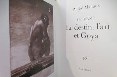 GOYA. SATURNE. Le Destin, l'art et Goya