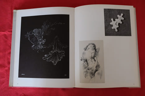Les Dessins de Hans Bellmer . Hans Bellmer - Jelenski
