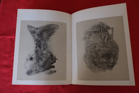 Les Dessins de Hans Bellmer . Hans Bellmer - Jelenski