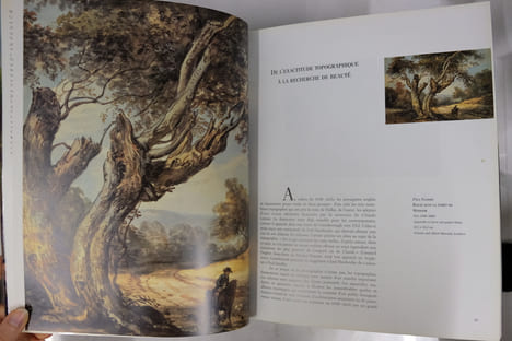 LES MAITRES DU PAYSAGE ANGLAIS DE LA RENAISSANCE A NOS JOURS. Laure Meyer