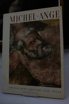 Coffret Michel-Ange & Masaccio. Deoclecio Redig de Campos & Mario Salmi