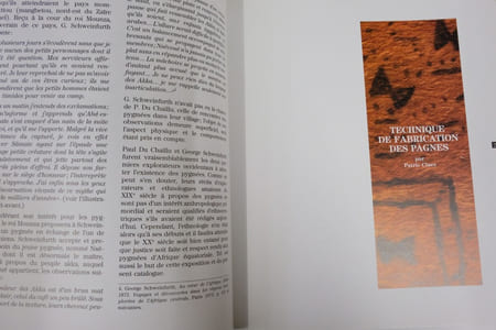 Art Pictural Des Pygmées