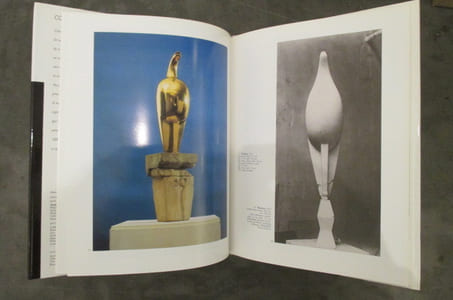 BRANCUSI. 1876 / 1957.