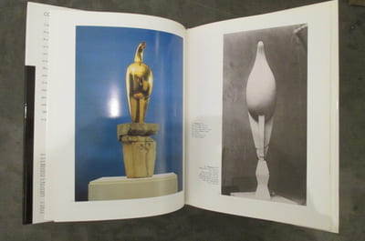 BRANCUSI. 1876 / 1957.