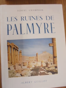 Les Ruines De Palmyre