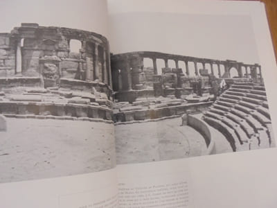 Les Ruines De Palmyre