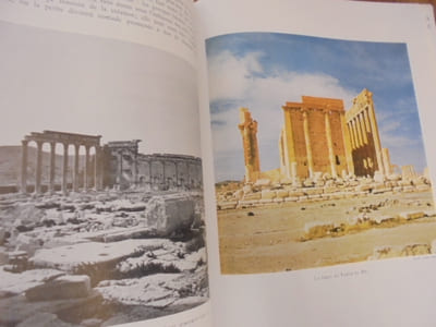 Les Ruines De Palmyre