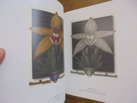 Michel Esteebe: Color Mezzotints-Manieeres Noires En Ccouleurs. Michel Estebe