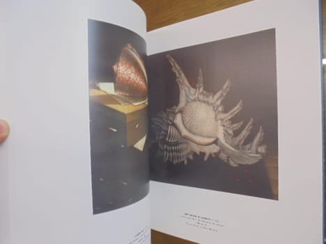 Michel Esteebe: Color Mezzotints-Manieeres Noires En Ccouleurs. Michel Estebe