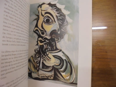 OBRAS MAESTRAS ESPAÑOLAS DEL MUSEO GOYA DE CASTRES
