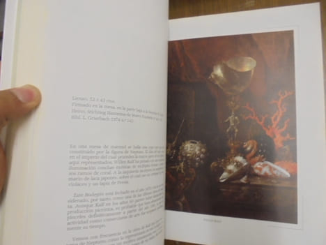 EL SIGLO DE REMBRANDT. C. J. de Bruyn Kops
