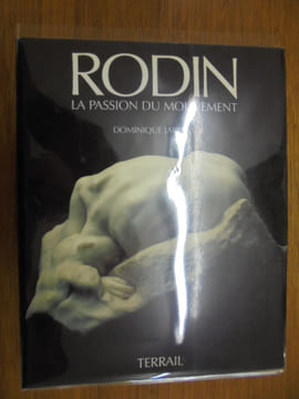 Rodin : A passion for movement. Jarrassé Dominique