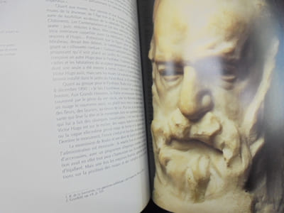 Rodin : A passion for movement