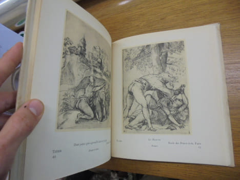 LES DESSINS VENITIENS DU XVe AU XVIIIe SIECLE
. FLORISOONE MICHEL
