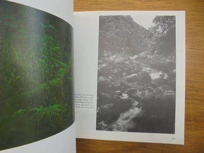 C.S. Lewis: Images of His World