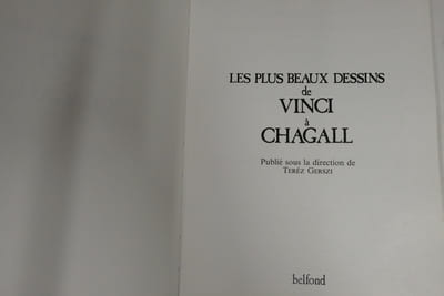 Les plus beaux dessins de Vinci à Chagall