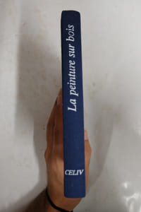 Manuel pratique de la peinture sur bois