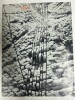 Adam : Musée national d'art moderne, Paris, 3 mai 2026 - 26 juin 1966. Collectif