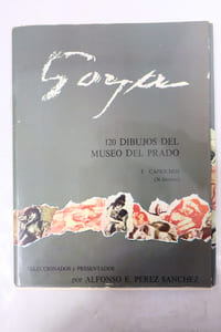 Goya : 120 Dibujos Del Museo Del Prado; I - Caprichos