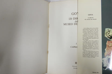 Goya : 120 Dibujos Del Museo Del Prado; I - Caprichos
