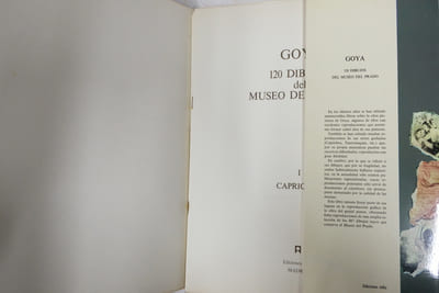 Goya : 120 Dibujos Del Museo Del Prado; I - Caprichos