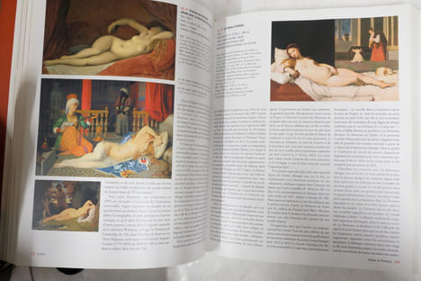 Ingres : 1780 - 1867. Collectif Gallimard