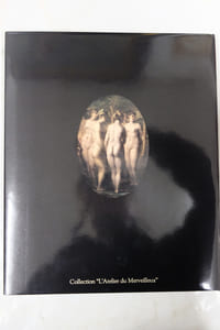 Fontainebleau, Le miroir des dames