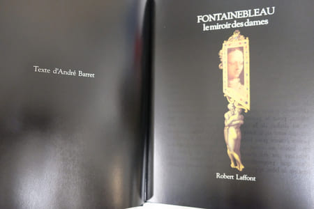 Fontainebleau, Le miroir des dames