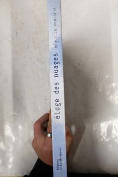 Eloge des nuages. Béatrice Fontanel