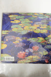 Reflections of Nature : Paintings by Joseph Raffael
