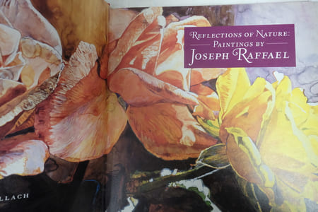 Reflections of Nature : Paintings by Joseph Raffael