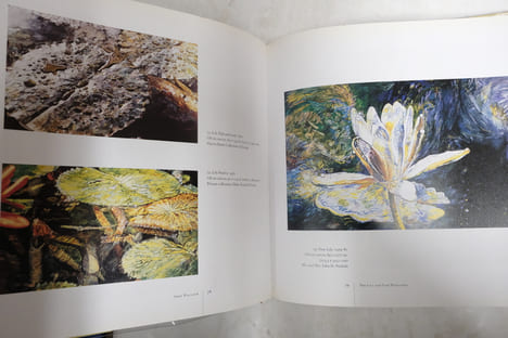 Reflections of Nature : Paintings by Joseph Raffael. Amei Wallach, Joseph Raffael, Donald B. Kuspit