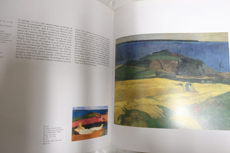 L'Aventure de Pont-Aven et Gauguin. André Cariou