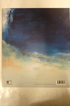Zao Wou-Ki : Peintures et encres de Chine, 1948-2005. Florence Delay, Daniel Abadi, Juan Manuel Bonet