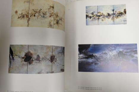 Zao Wou-Ki : Peintures et encres de Chine, 1948-2005. Florence Delay, Daniel Abadi, Juan Manuel Bonet