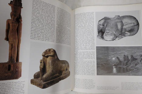 Egyptian civilization; Monumental art. Collectif; Egyptian Museum of Turin