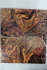 Splendeur du tapis d'Orient. BRONIMANN Andr&eacute;
