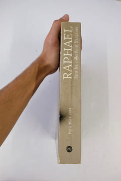 Raphaël dans les collections françaises. André Chastel,Sylvie Béguin,Françoise Viatte
