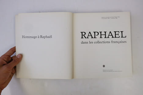 Raphaël dans les collections françaises. André Chastel,Sylvie Béguin,Françoise Viatte
