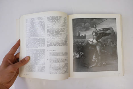 Raphaël dans les collections françaises. André Chastel,Sylvie Béguin,Françoise Viatte
