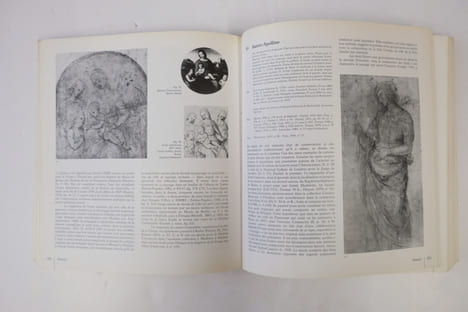 Raphaël dans les collections françaises. André Chastel,Sylvie Béguin,Françoise Viatte
