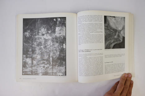 Raphaël dans les collections françaises. André Chastel,Sylvie Béguin,Françoise Viatte
