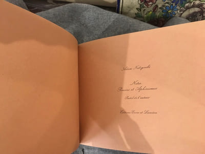 Notes, Pensées et Aphorismes
