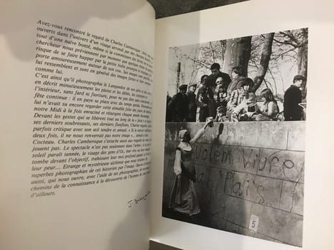 La fête en Languedoc - Regard sur le carnaval aujourd'hui. Daniel Fabre - Daniel Camberoque